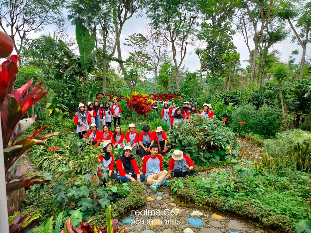 Jeep di jalan hijau